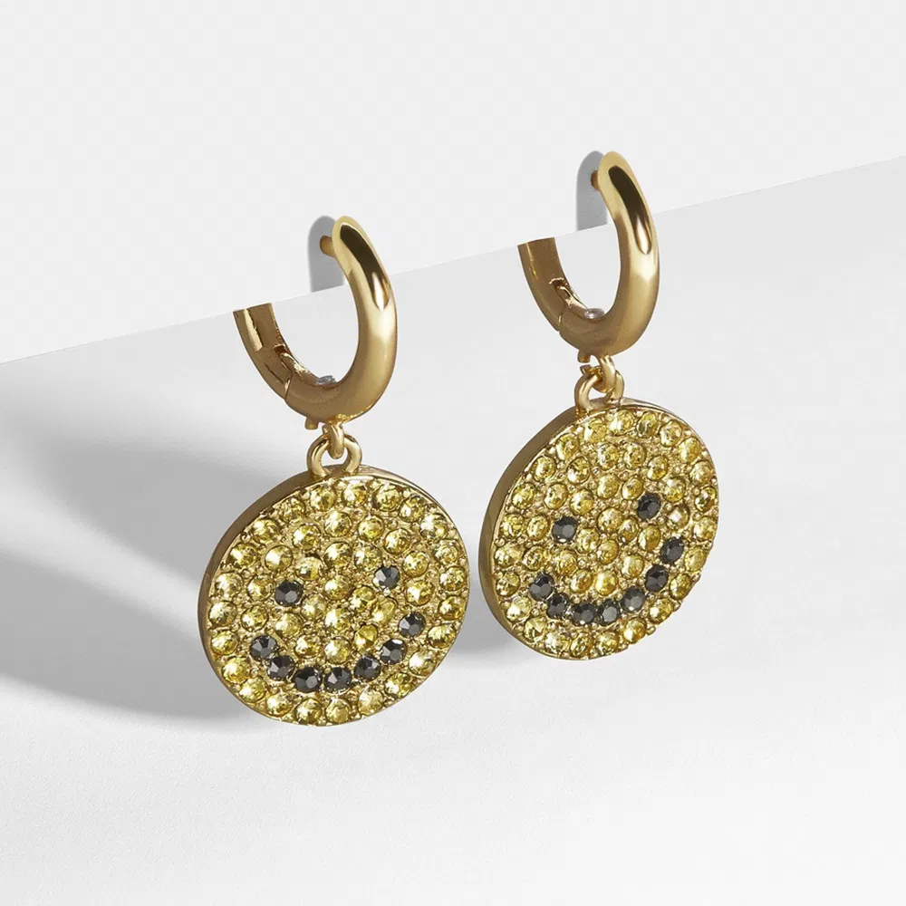 European And American Exaggerated Earrings - Grocery
