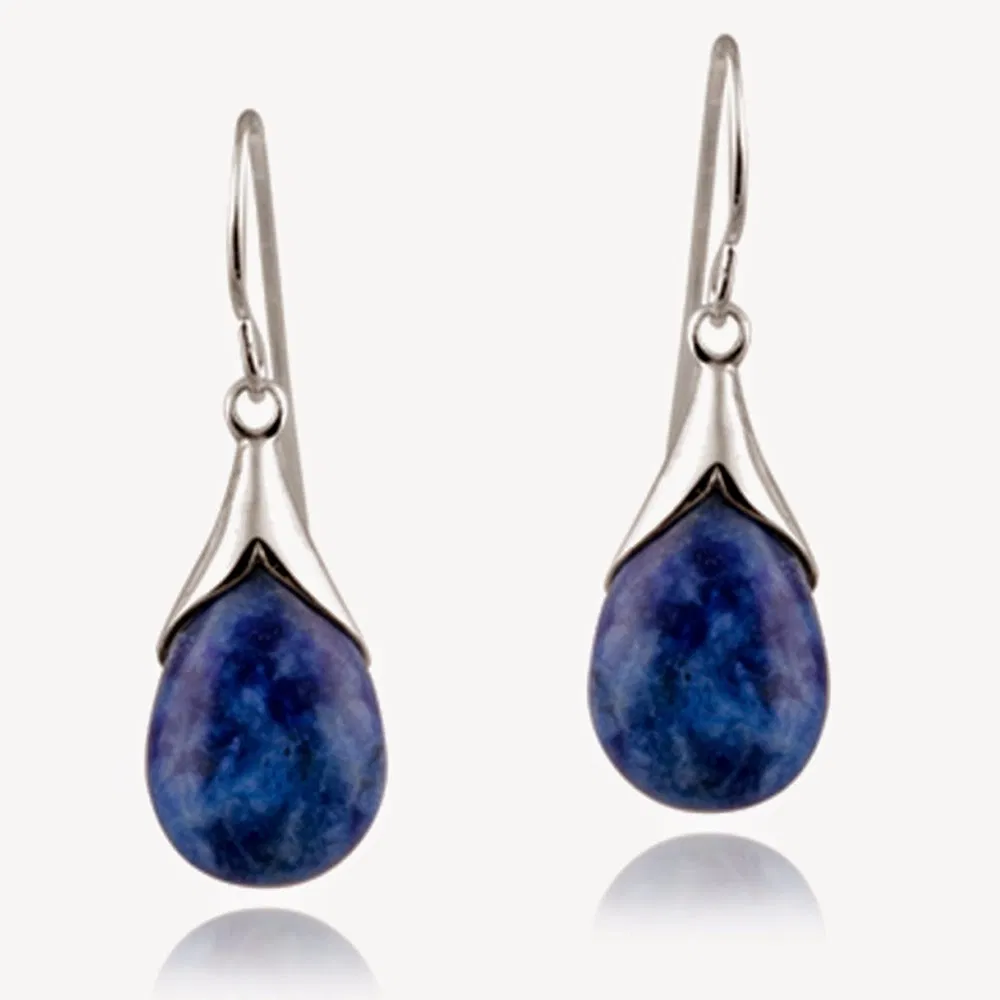 Sterling Silver Sodalite Teardrop Dangle Earrings - Grocery