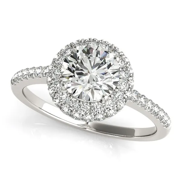 14k White Gold Classic Round Diamond Pave Design Engagement Ring (1 1/2 cttw) - Grocery