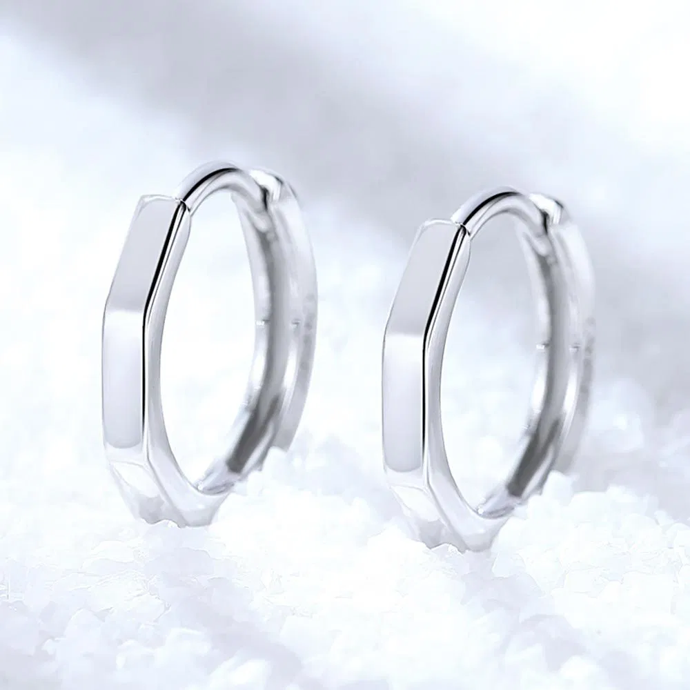 Silver Plated Earrings Are Simple And Feminine - Grocery