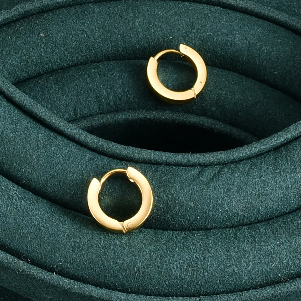 18K Gold Plated Titanium Steel Women's Earrings - Grocery