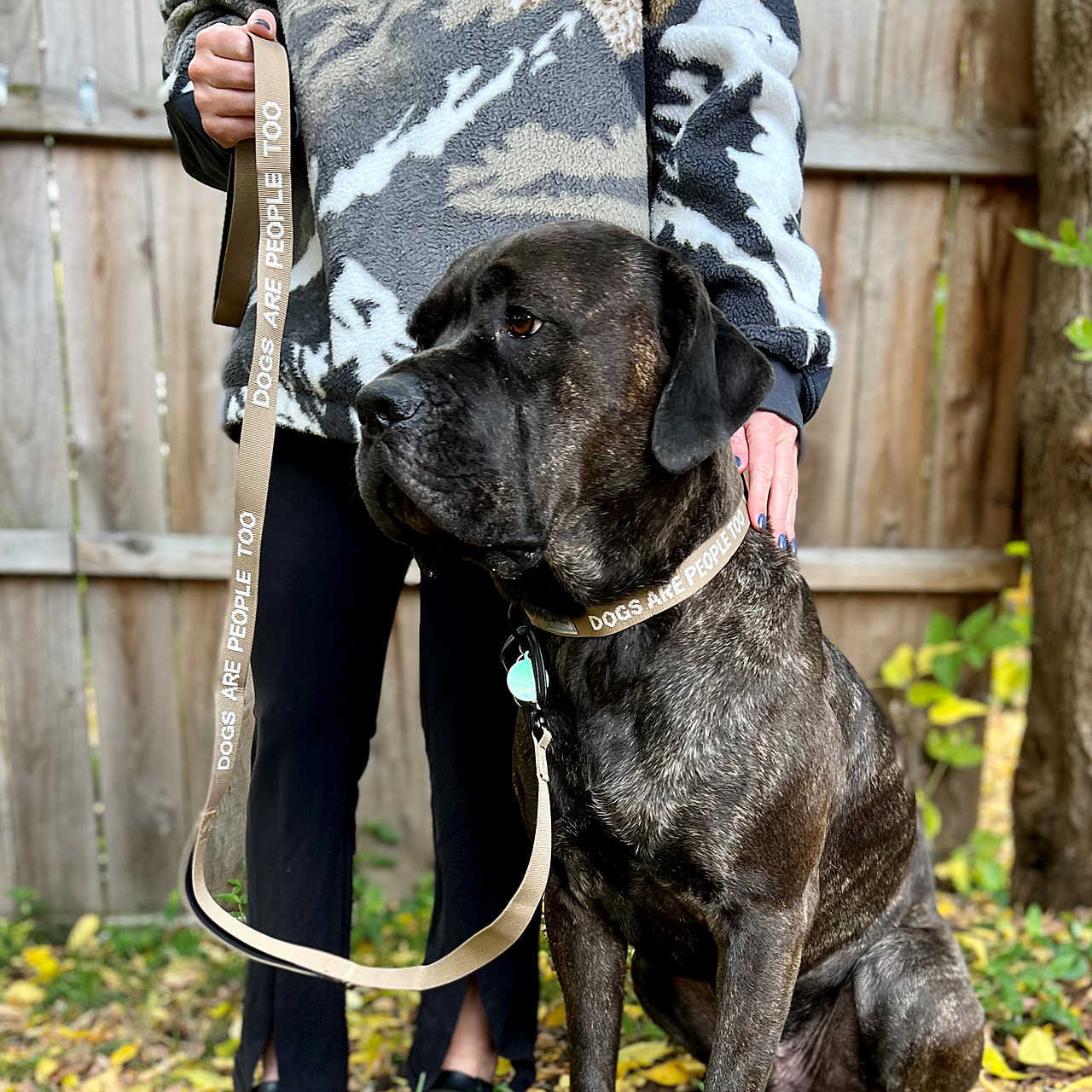 Dog Leash - Merrell Outlet