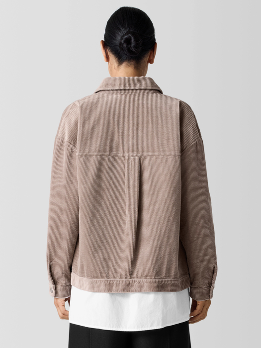Organic Cotton Corduroy Classic Collar Jacket - Eileen Fisher Outlet