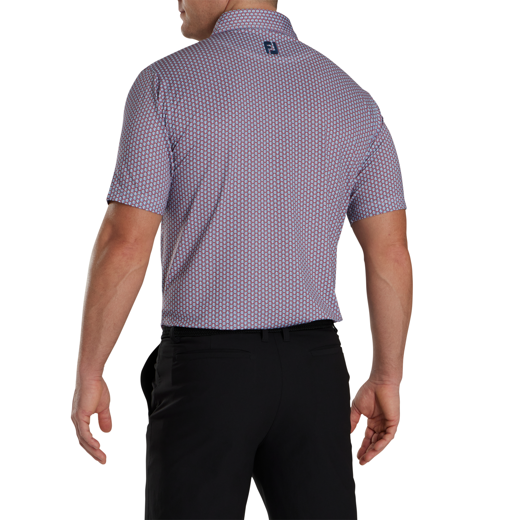 Scallop Shell Lisle