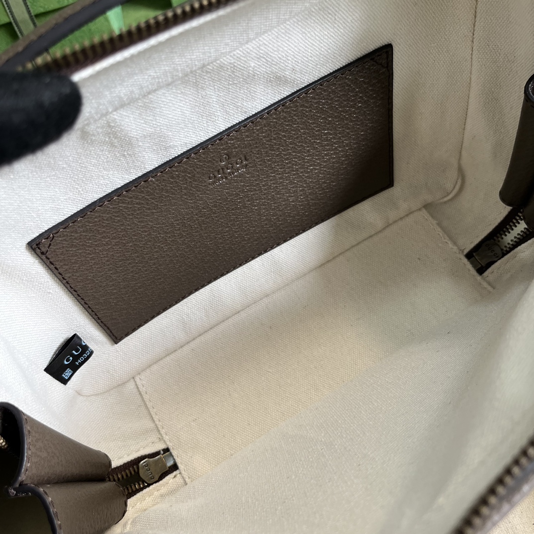 Gucci Ophidia Shoulder Bag