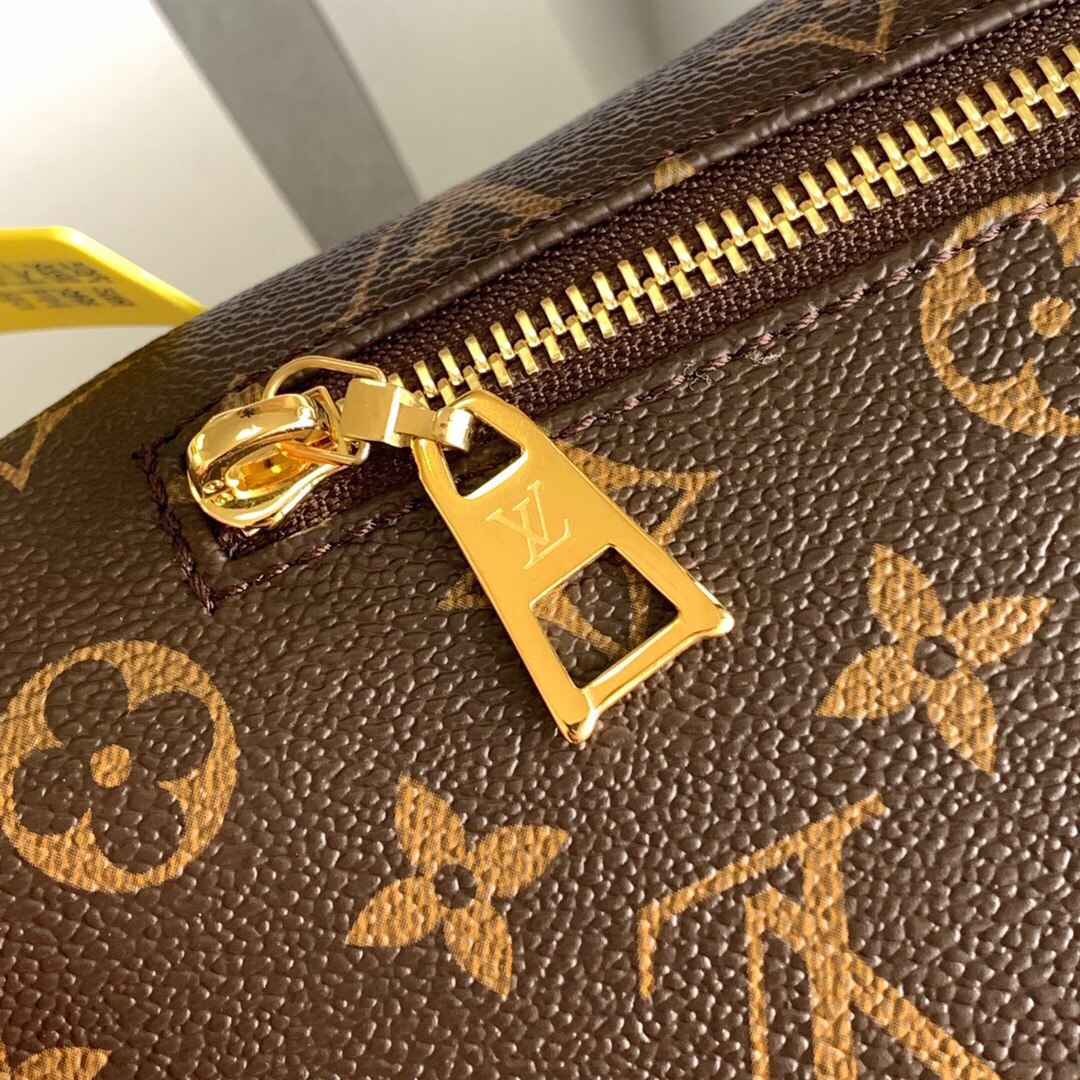 Louis Vuitton Classic Vintage-Inspired Crossbody/Waist Bag