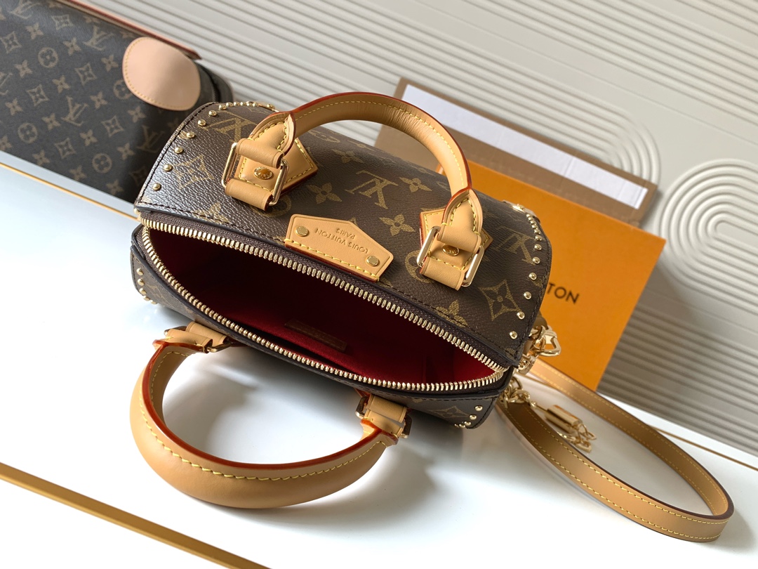 LV Speedy Trunk Leather Handbag