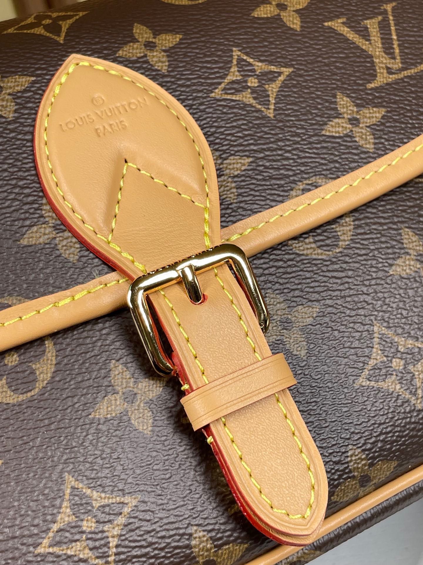 LV Classic Leather Crossbody&Shouder bag