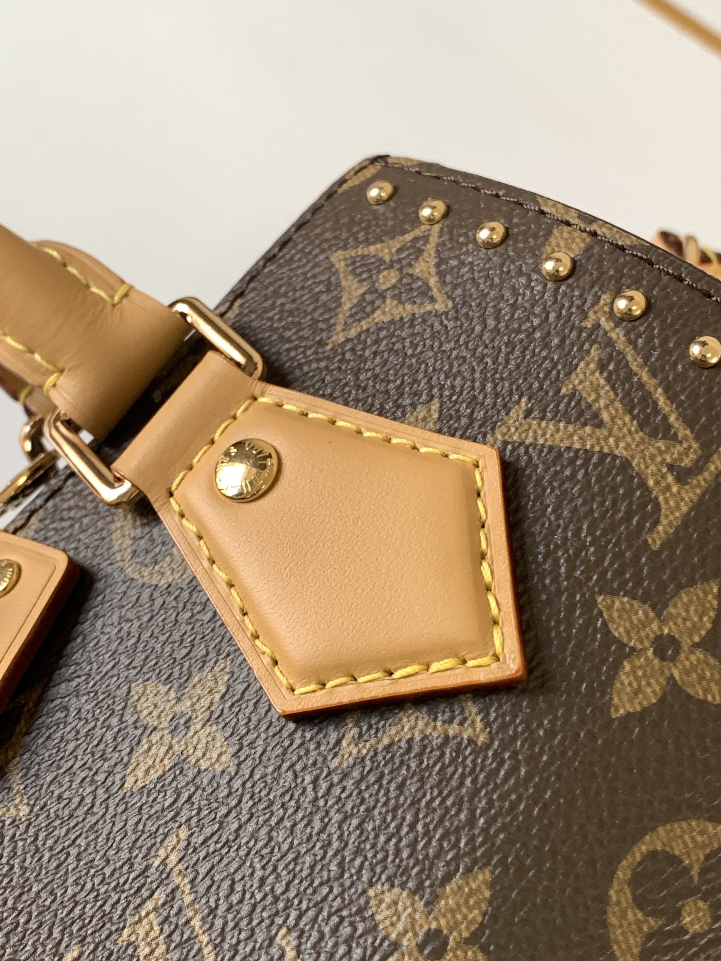 LV Speedy Trunk Leather Handbag