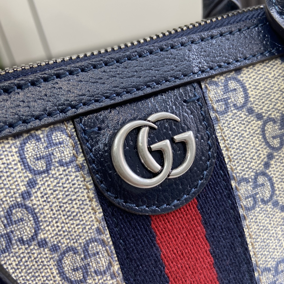 Gucci Ophidia Classic Handbag