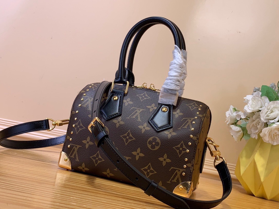 LV Speedy 20 Handbags