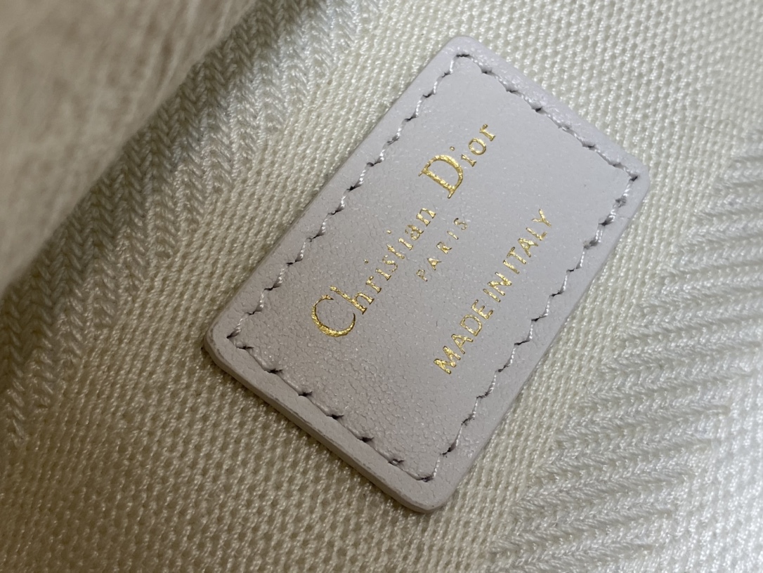 Christian Dior Medium Handheld Tote Bag