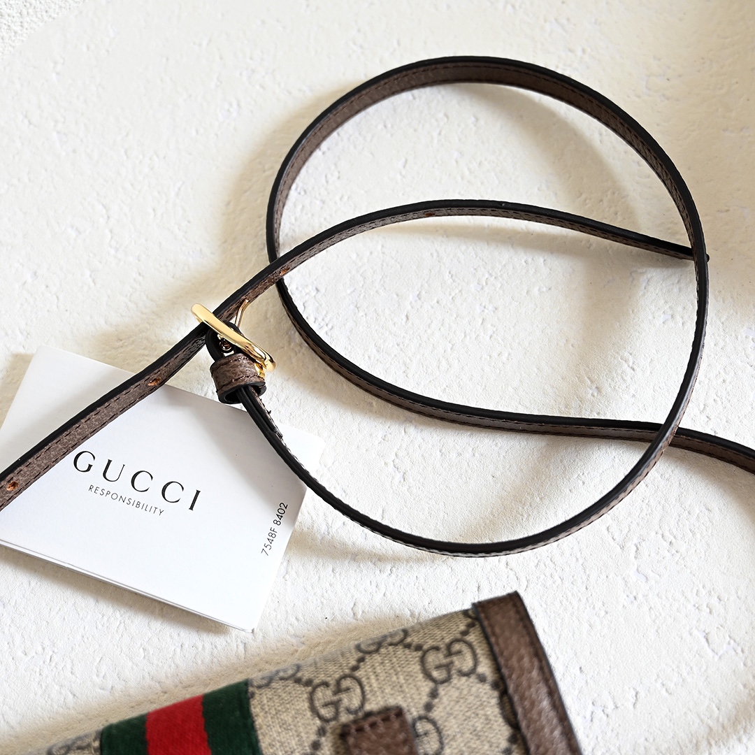 Gucci Mini Bag & Wallet