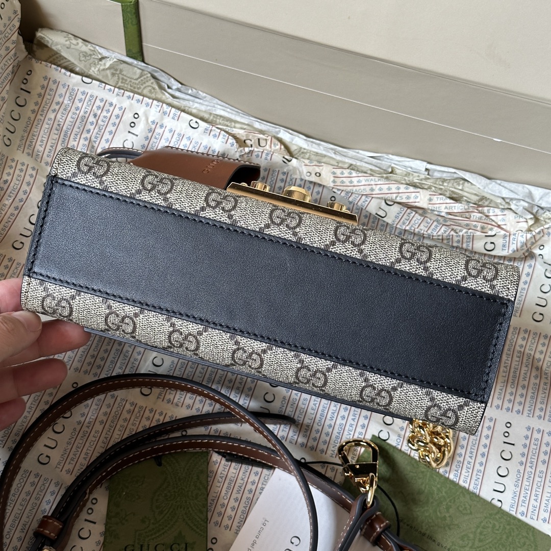 Gucci Monogram Chain Bag