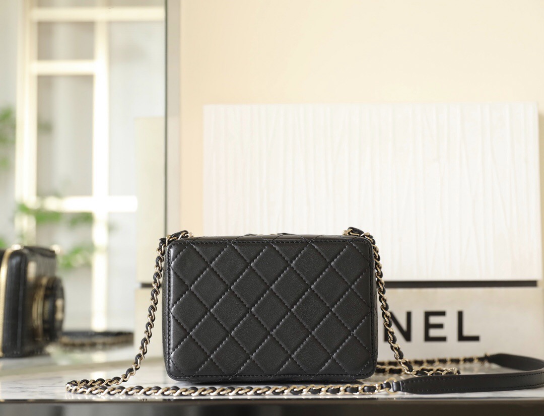 Chanel's Latest Lambskin Camera Bag