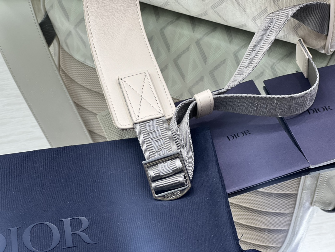 Christian Dior Large Backpack