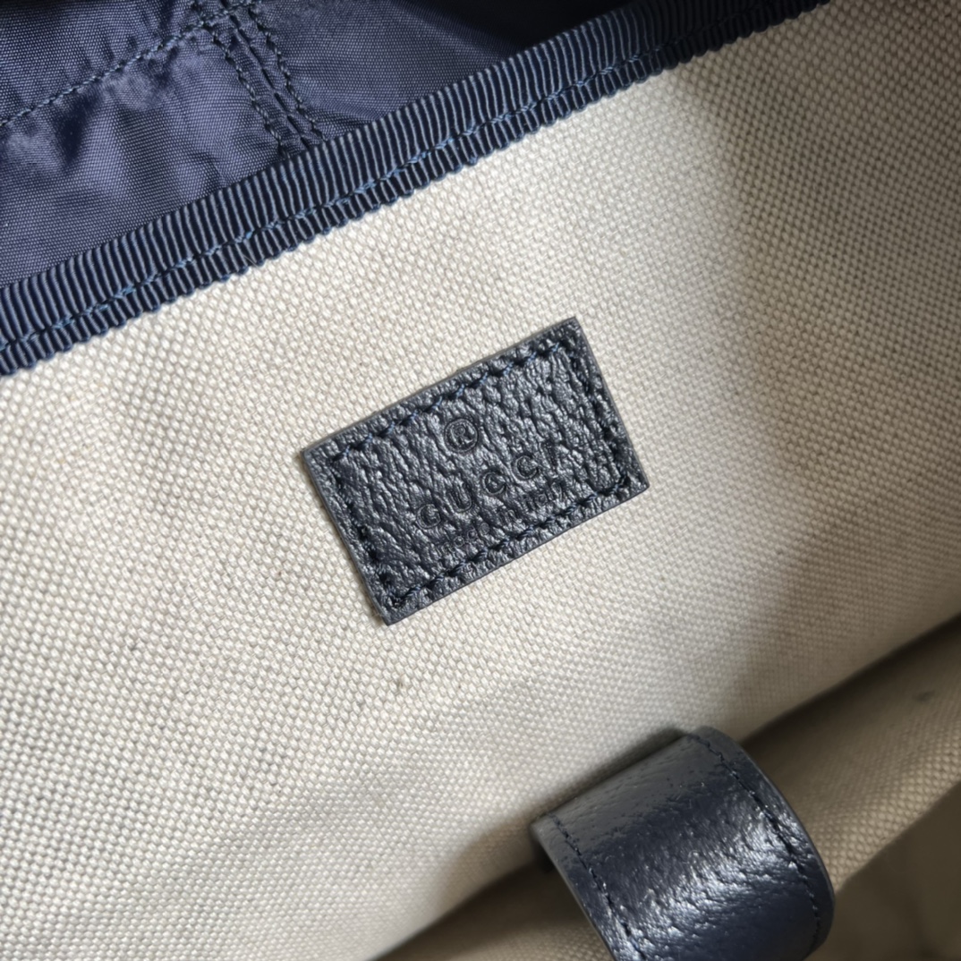 Gucci Ophidia Backpack