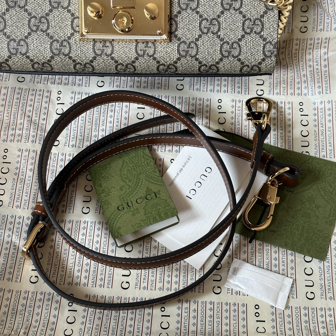 Gucci Monogram Chain Bag
