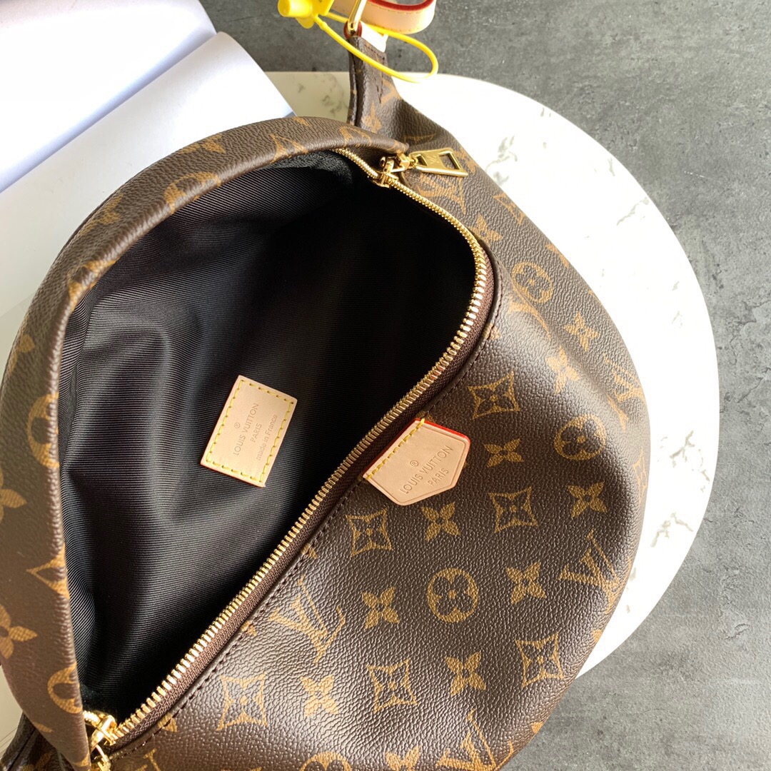 Louis Vuitton Classic Vintage-Inspired Crossbody/Waist Bag