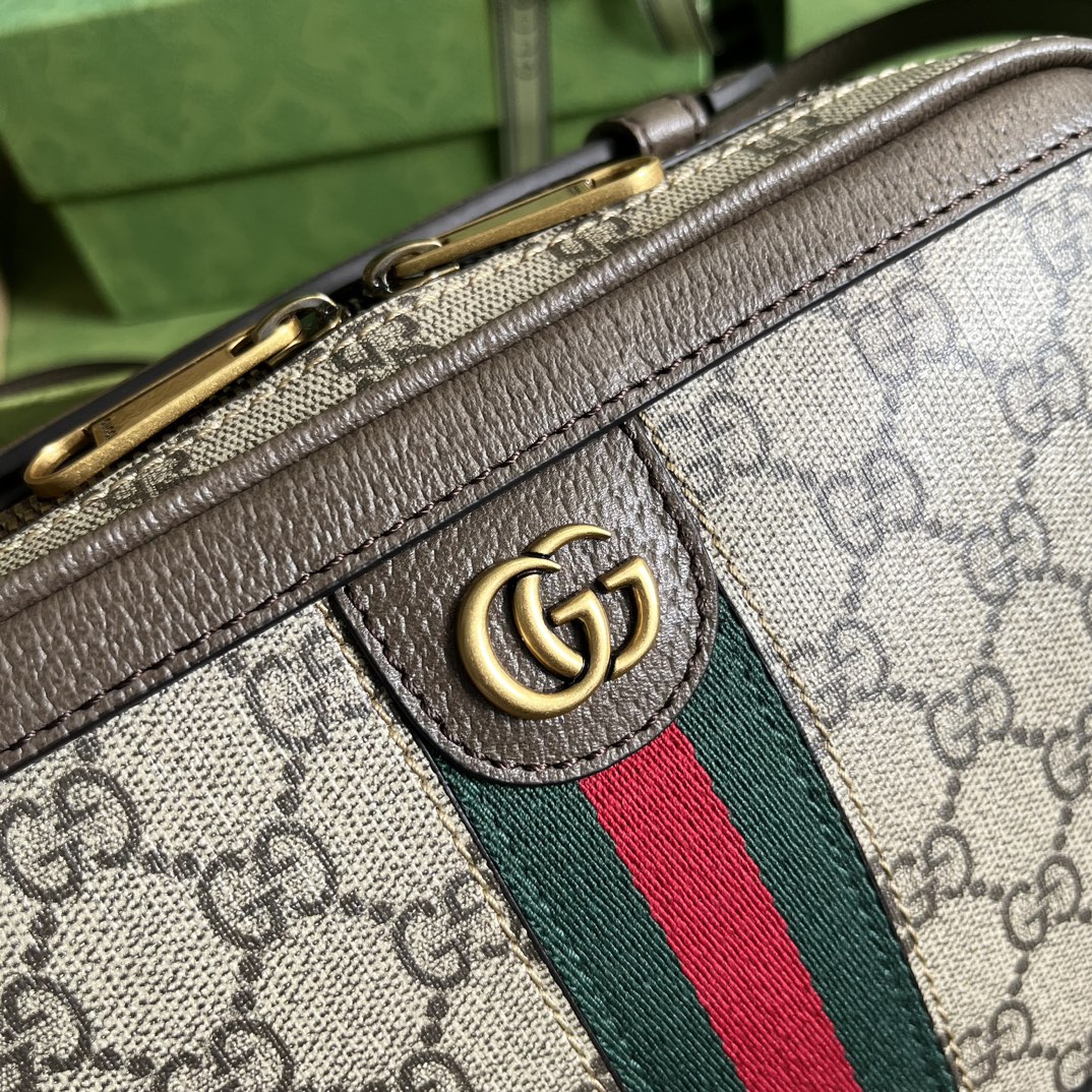 Gucci Ophidia Shoulder Bag