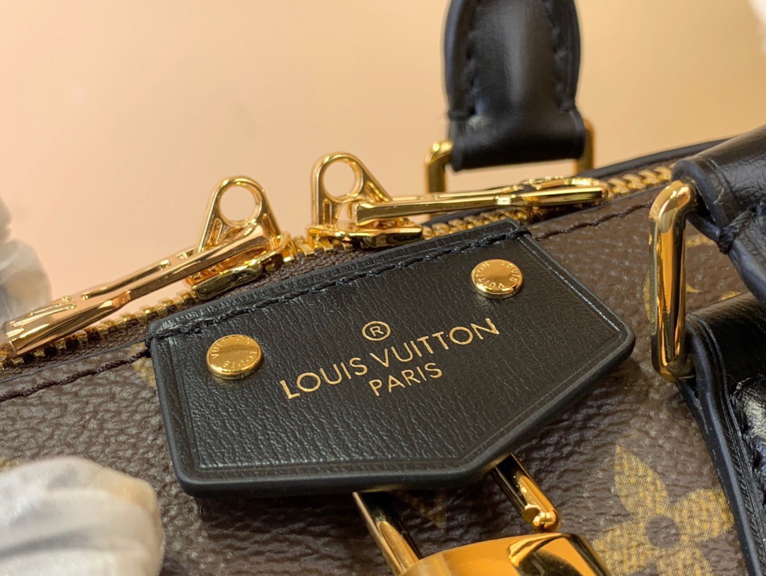 LV Speedy 20 Handbags
