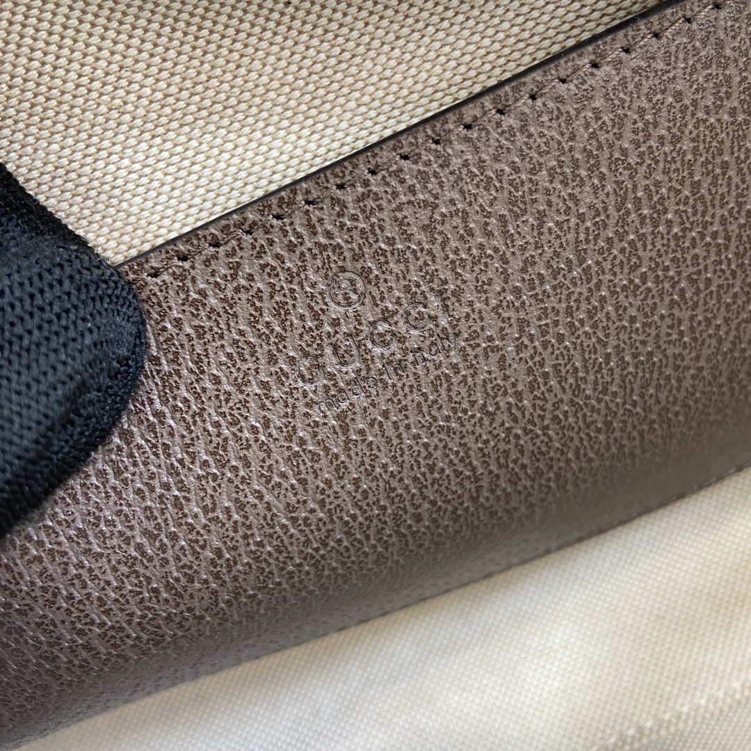 Gucci Ophidia Classic Handbag