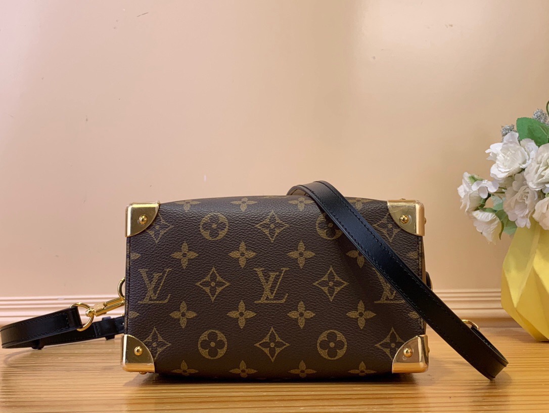 LV Speedy 20 Handbags