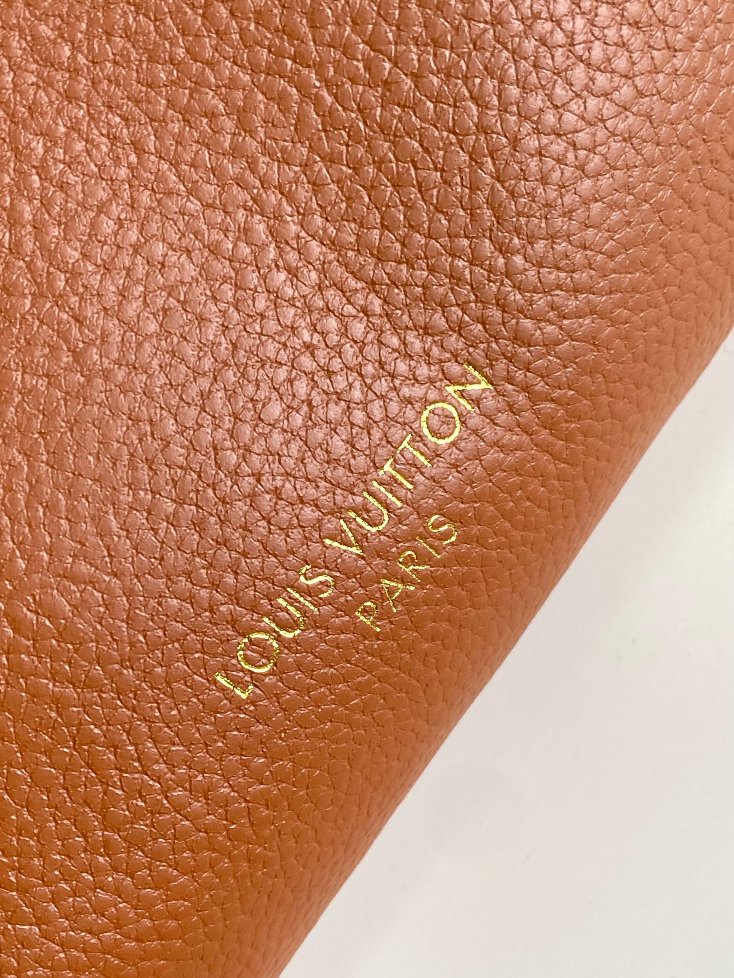 LV Low-Key Hobo Top-Grain Leather Tote Bag