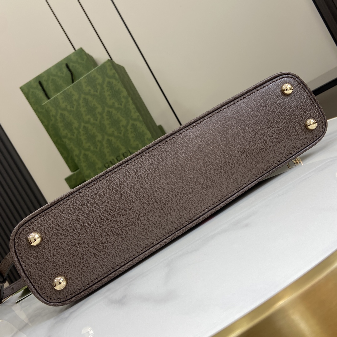 Gucci Ophidia Classic Handbag