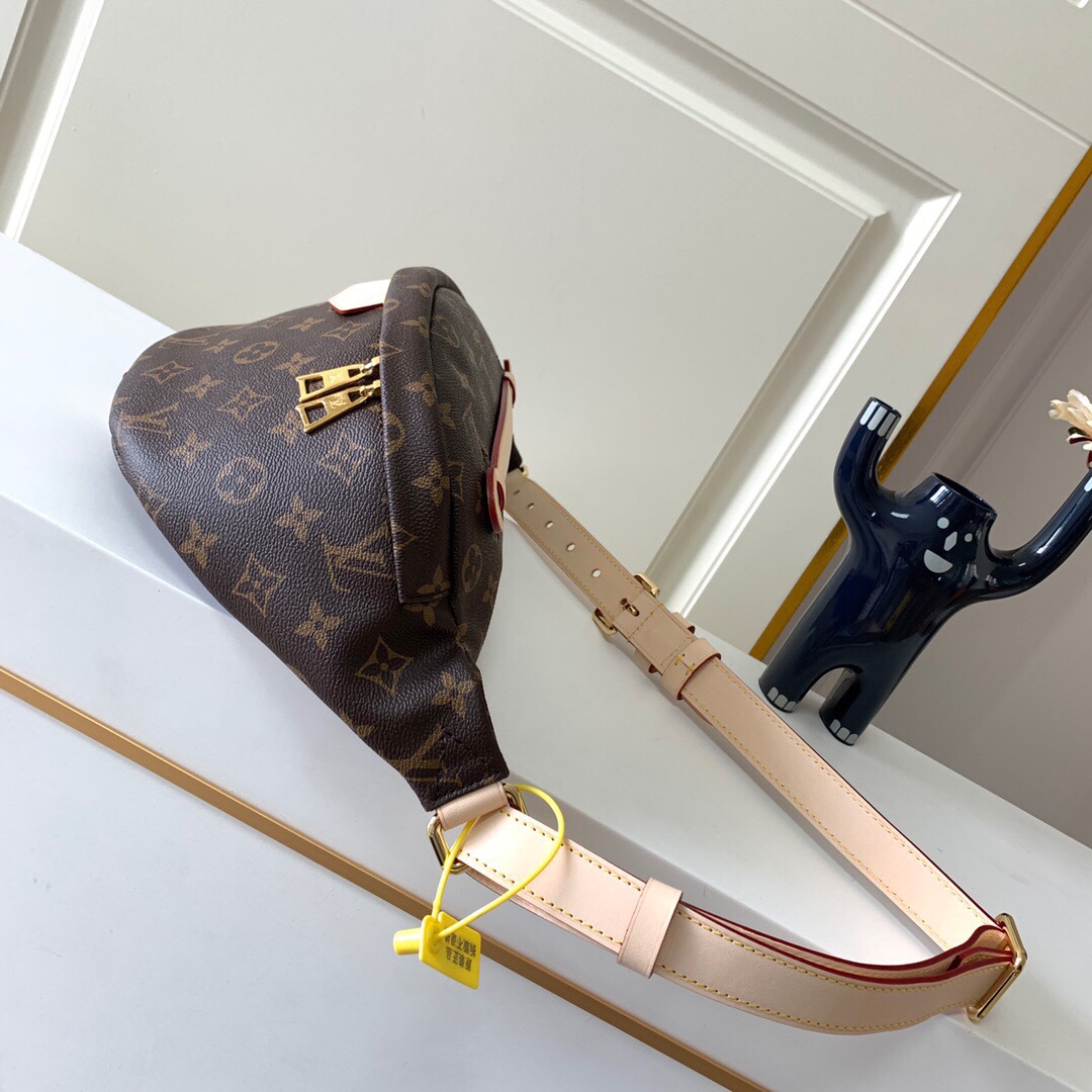 Louis Vuitton Classic Vintage-Inspired Crossbody/Waist Bag