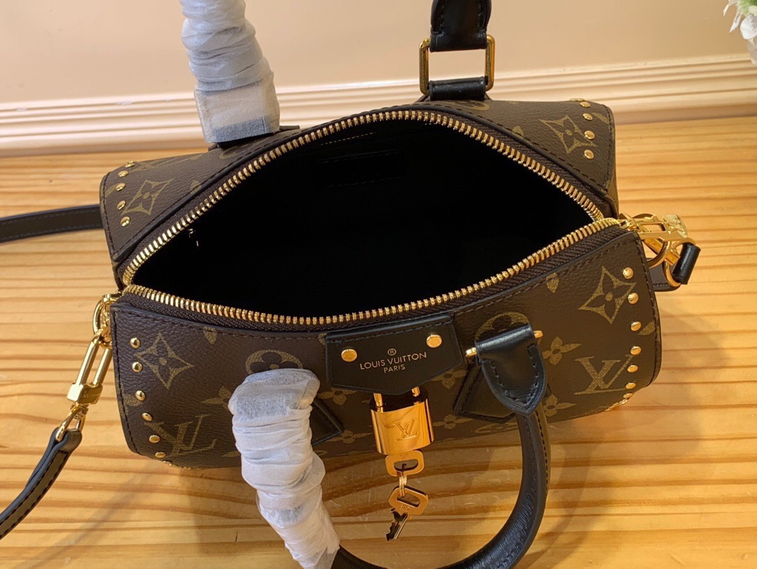 LV Speedy 20 Handbags