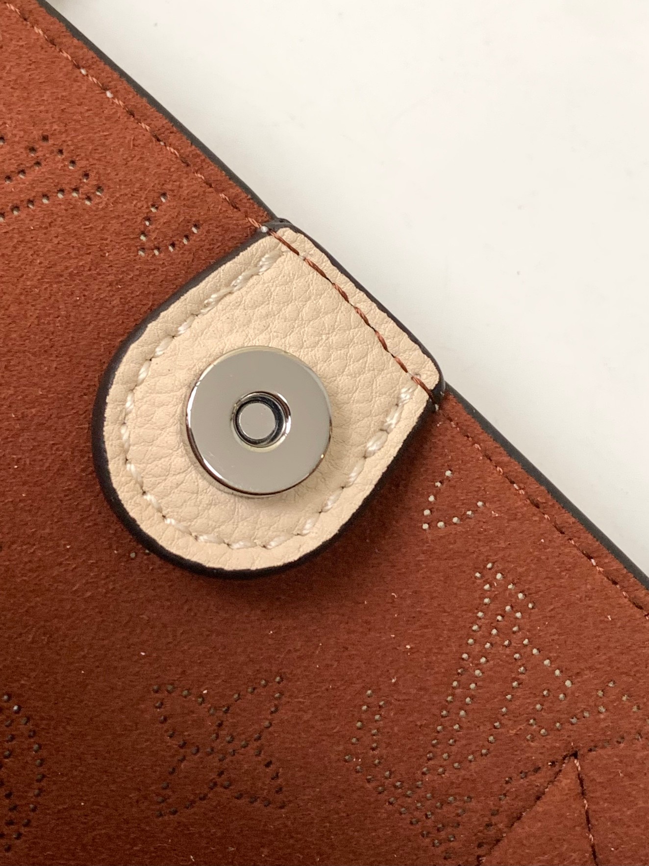 Louis Vuitton Versatile Leather Tote Bag