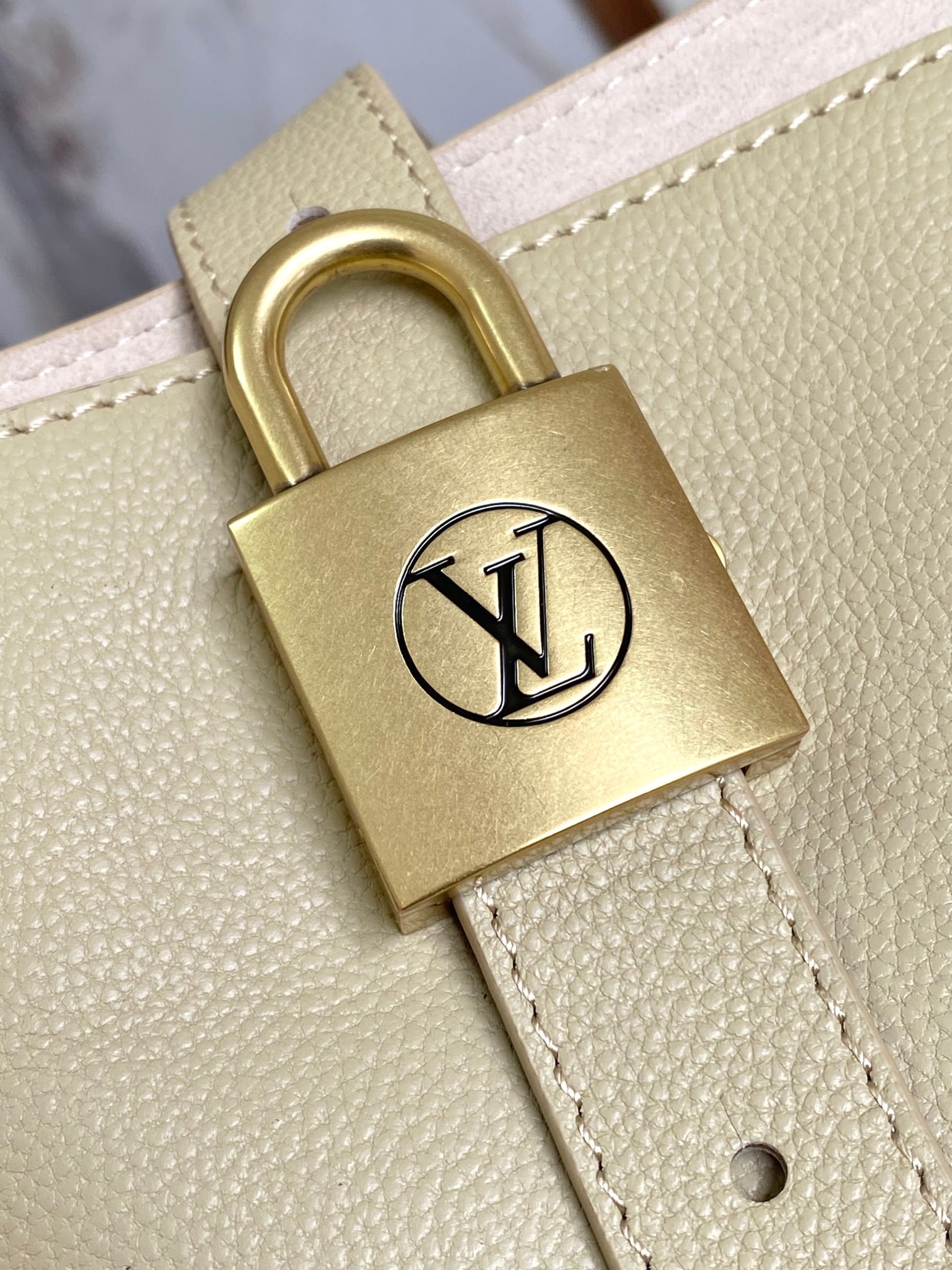 LV Low-Key Hobo Top-Grain Leather Tote Bag