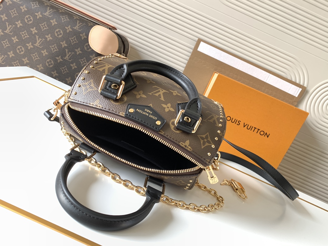 LV Speedy Trunk Leather Handbag