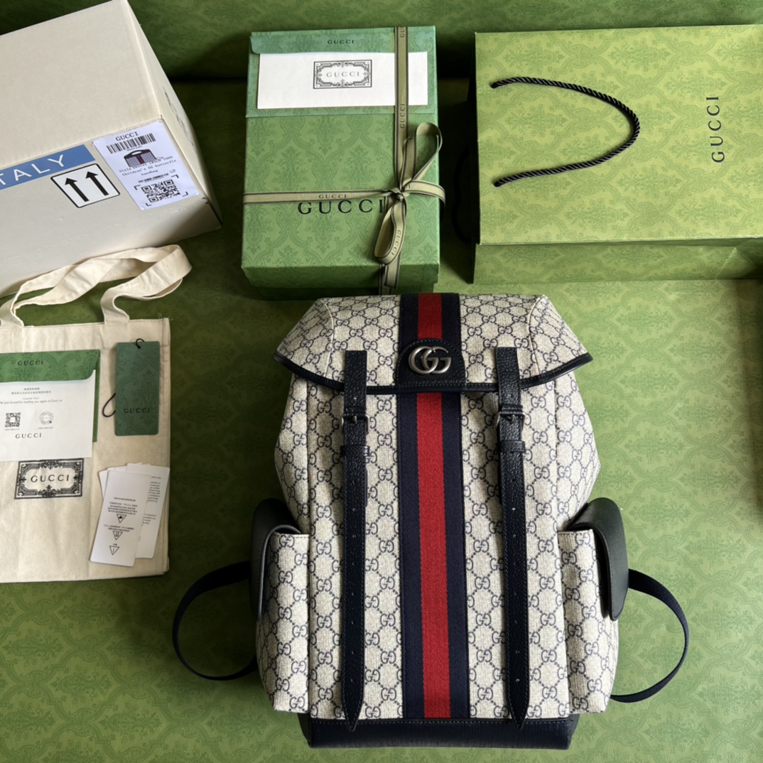 Gucci Ophidia Backpack