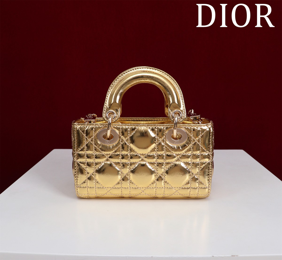 DIOR Lady D-Joy Micro Bag