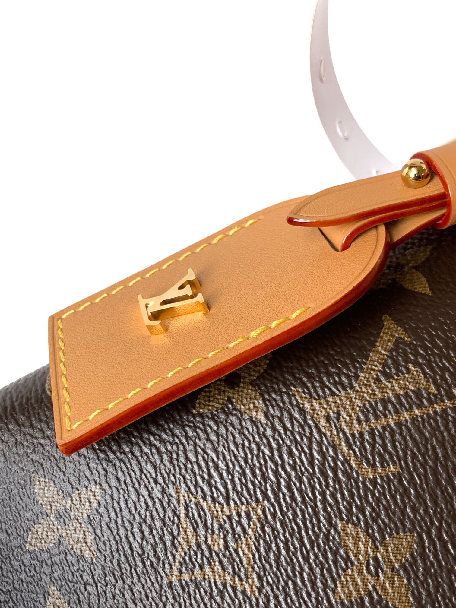 LV CarryAll Small Handbag