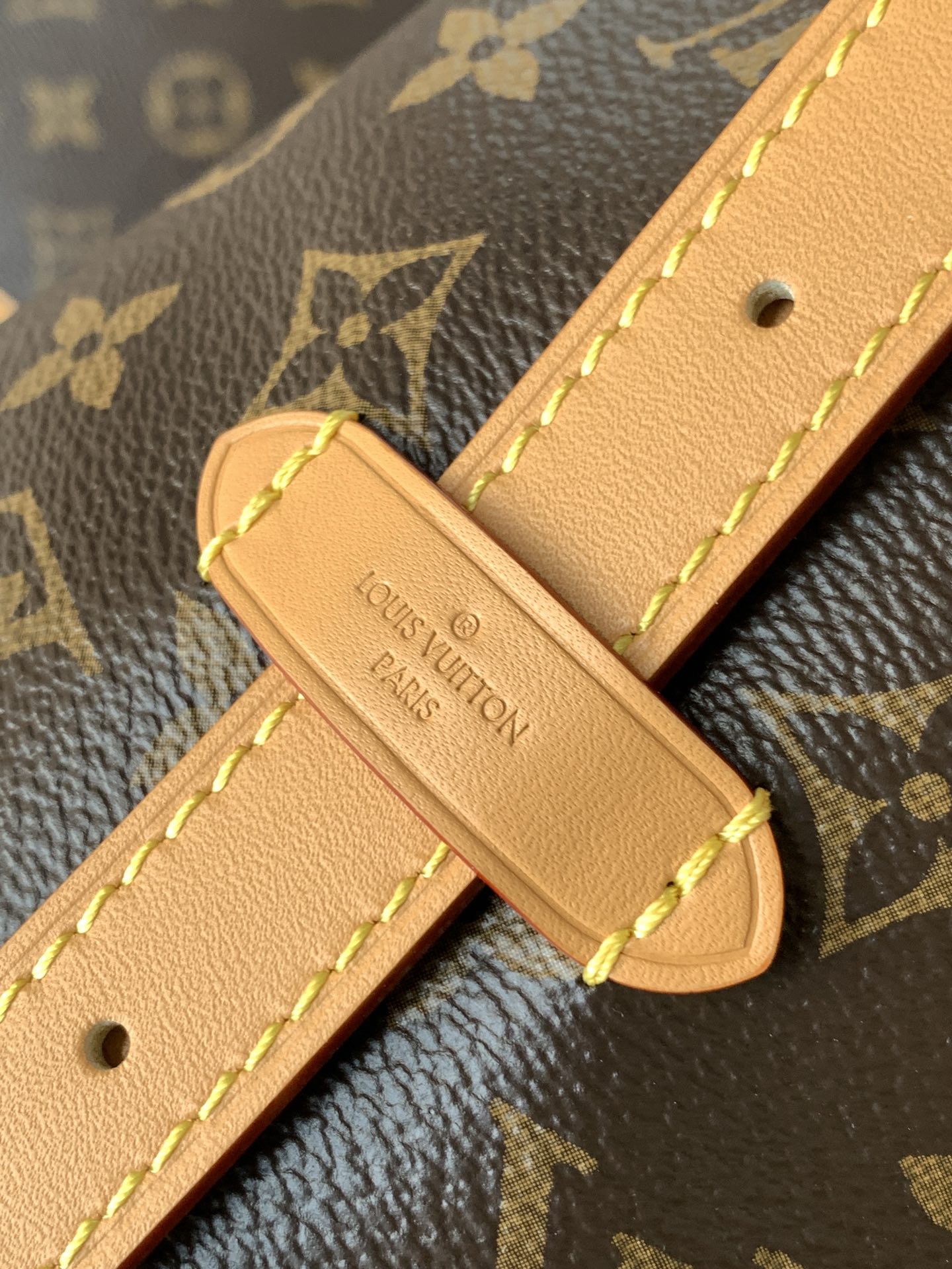 LV CarryAll Small Handbag