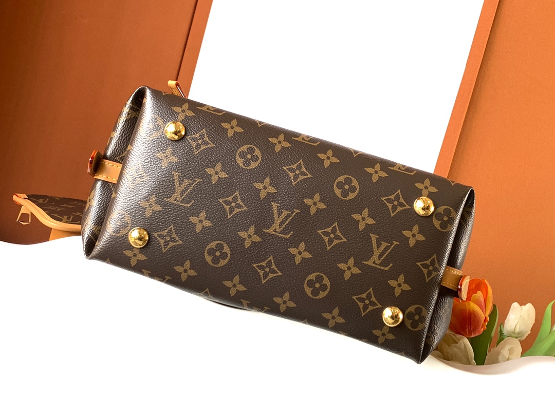 LV CarryAll Small Handbag