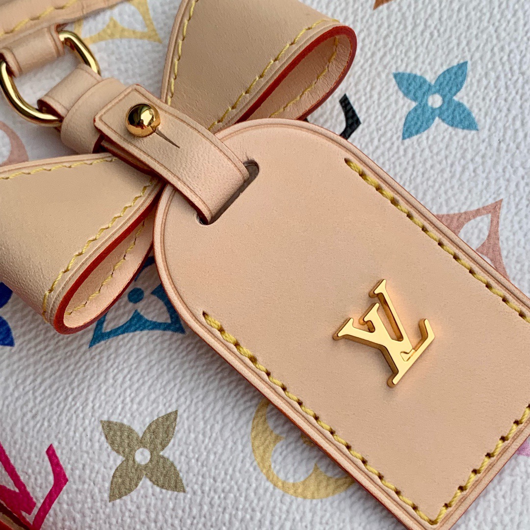 LV CarryAll Small Handbag