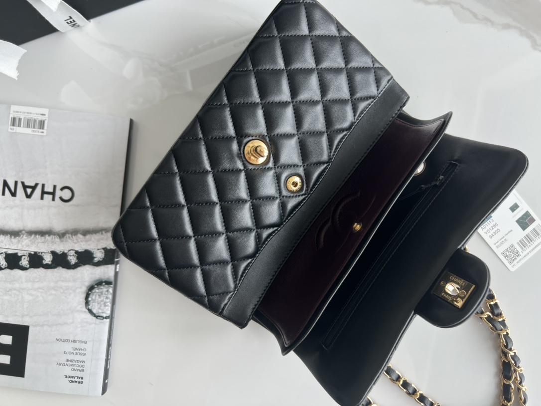 Chanel Polished Lambskin Classic Handbag