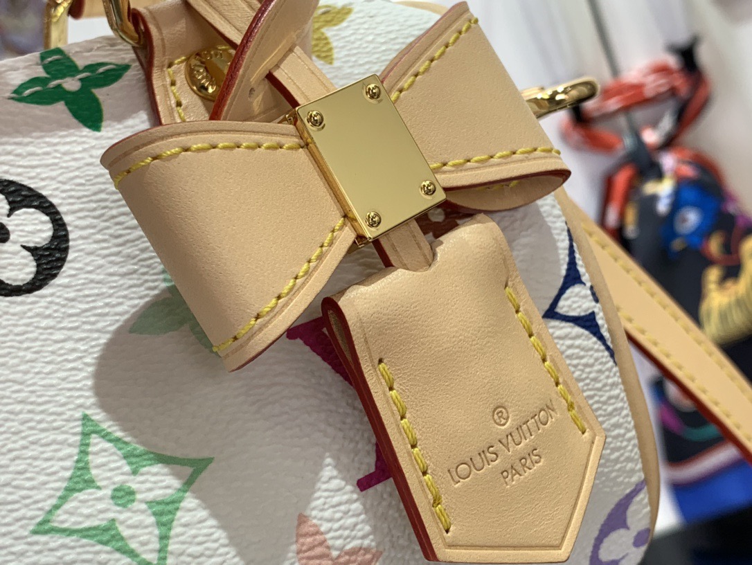 LV x TM NANO SPEEDY Handbag