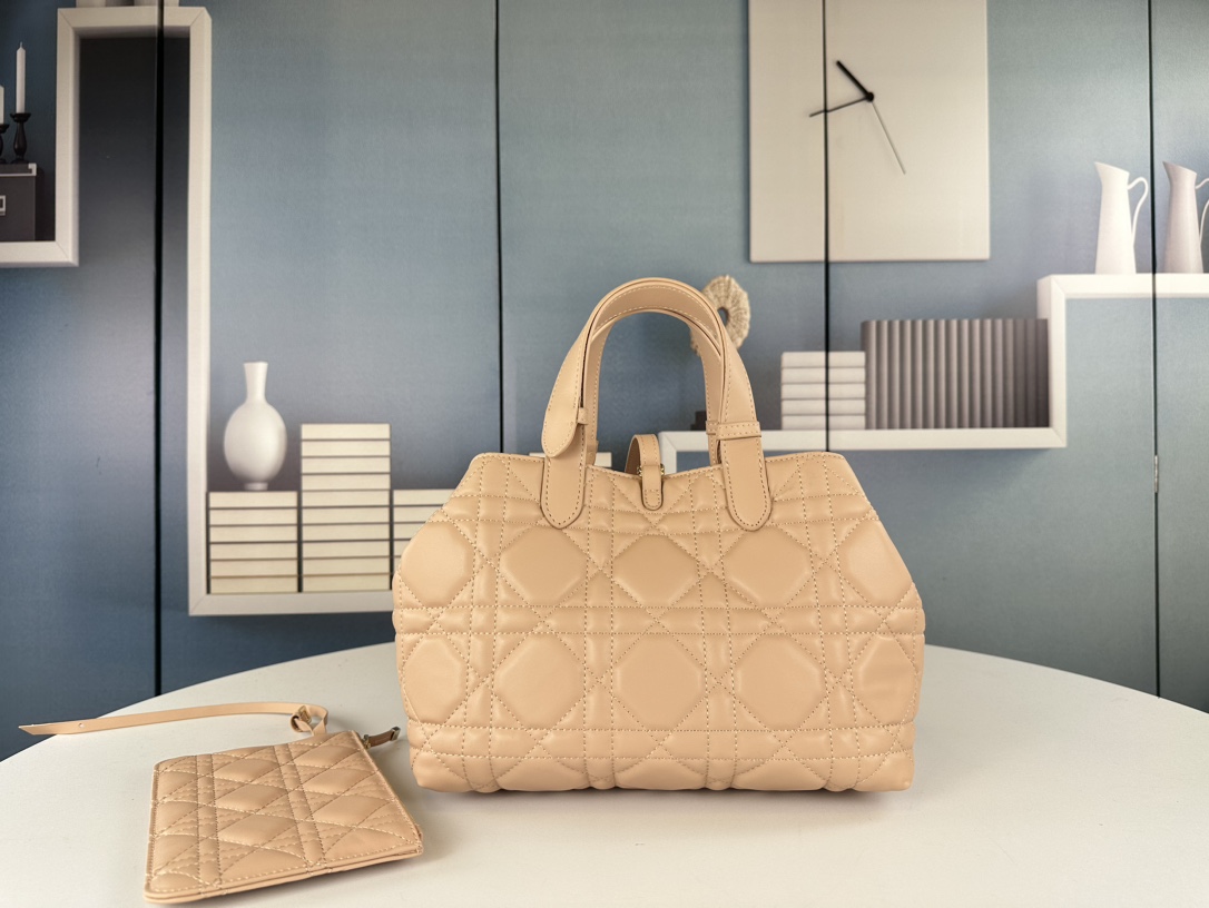 Dior Toujours Handbag