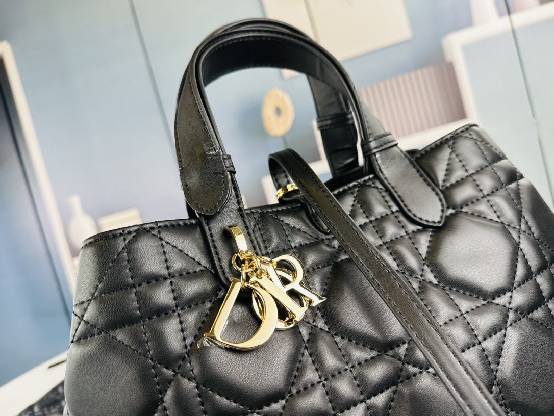 Dior Toujours Handbag