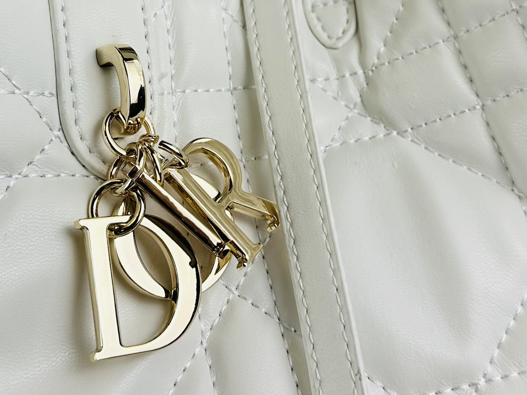 Dior Toujours Handbag