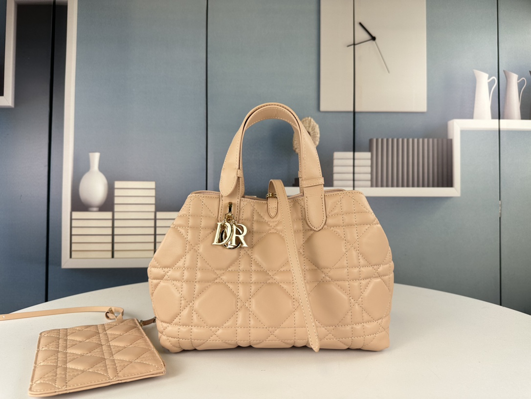 Dior Toujours Handbag
