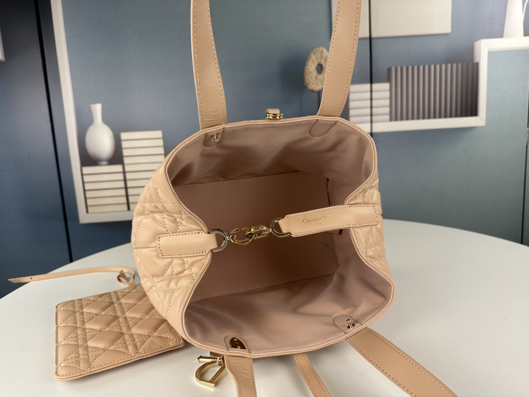 Dior Toujours Handbag