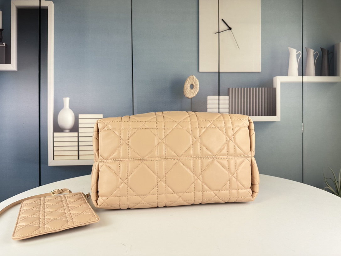 Dior Toujours Handbag