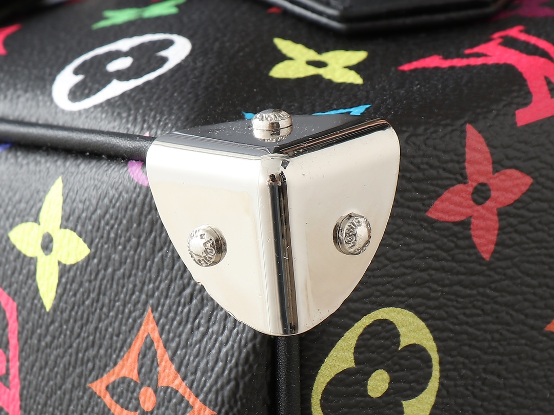 LV x TM SPEEDY SOFT 30 Handbag