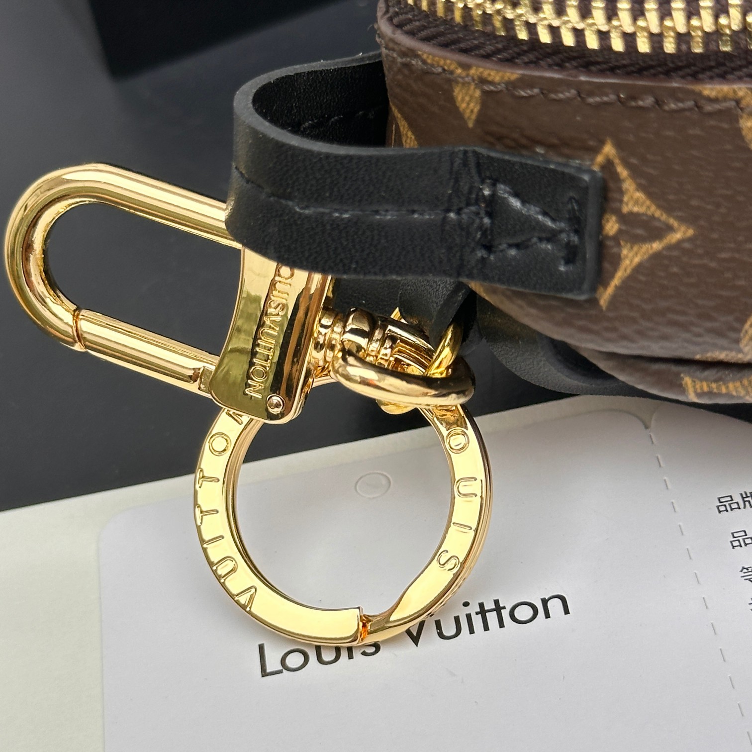 Louis Vuitton Mini Backpack with Keychain Hanger